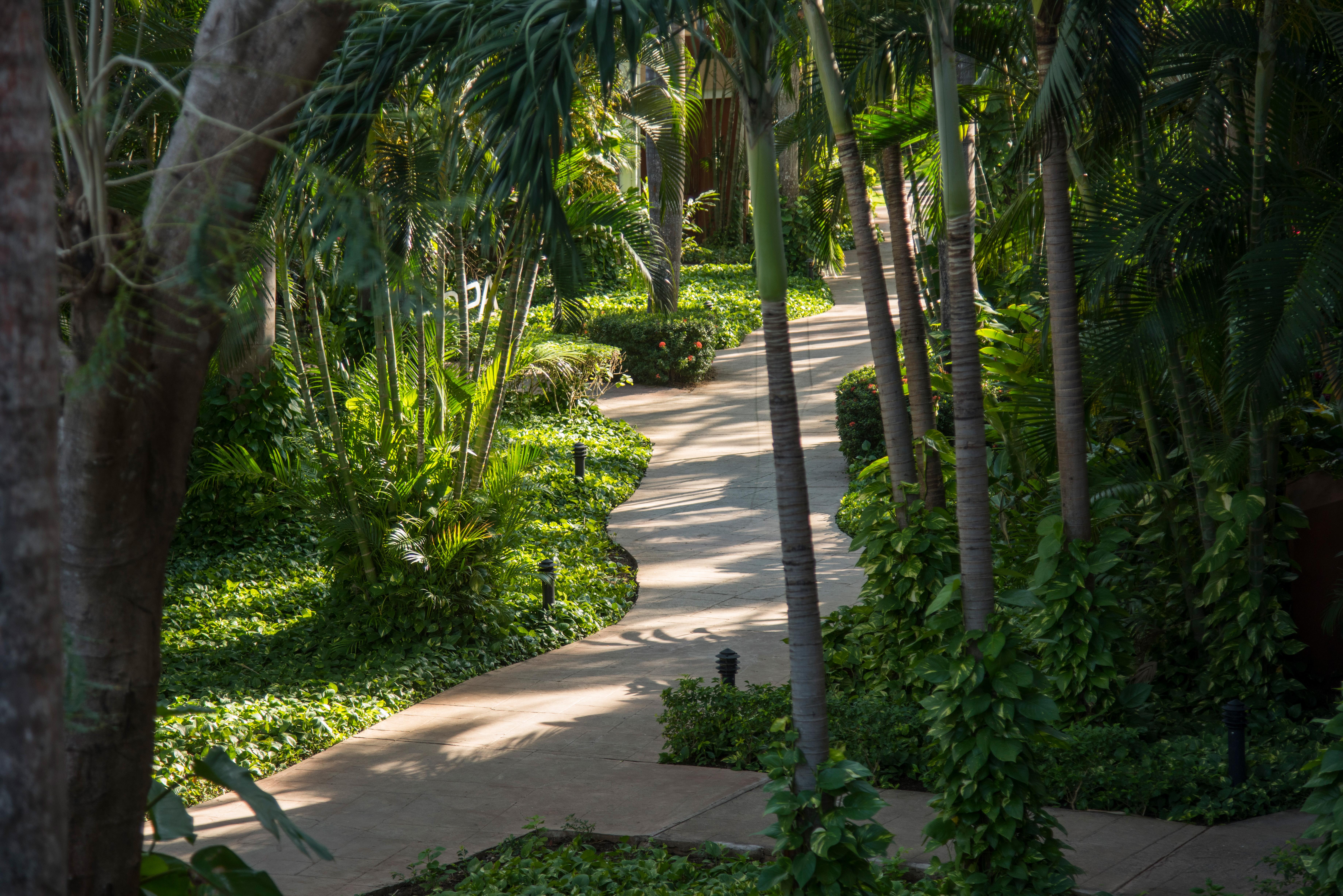 Occidental Tamarindo Hotel Exterior photo