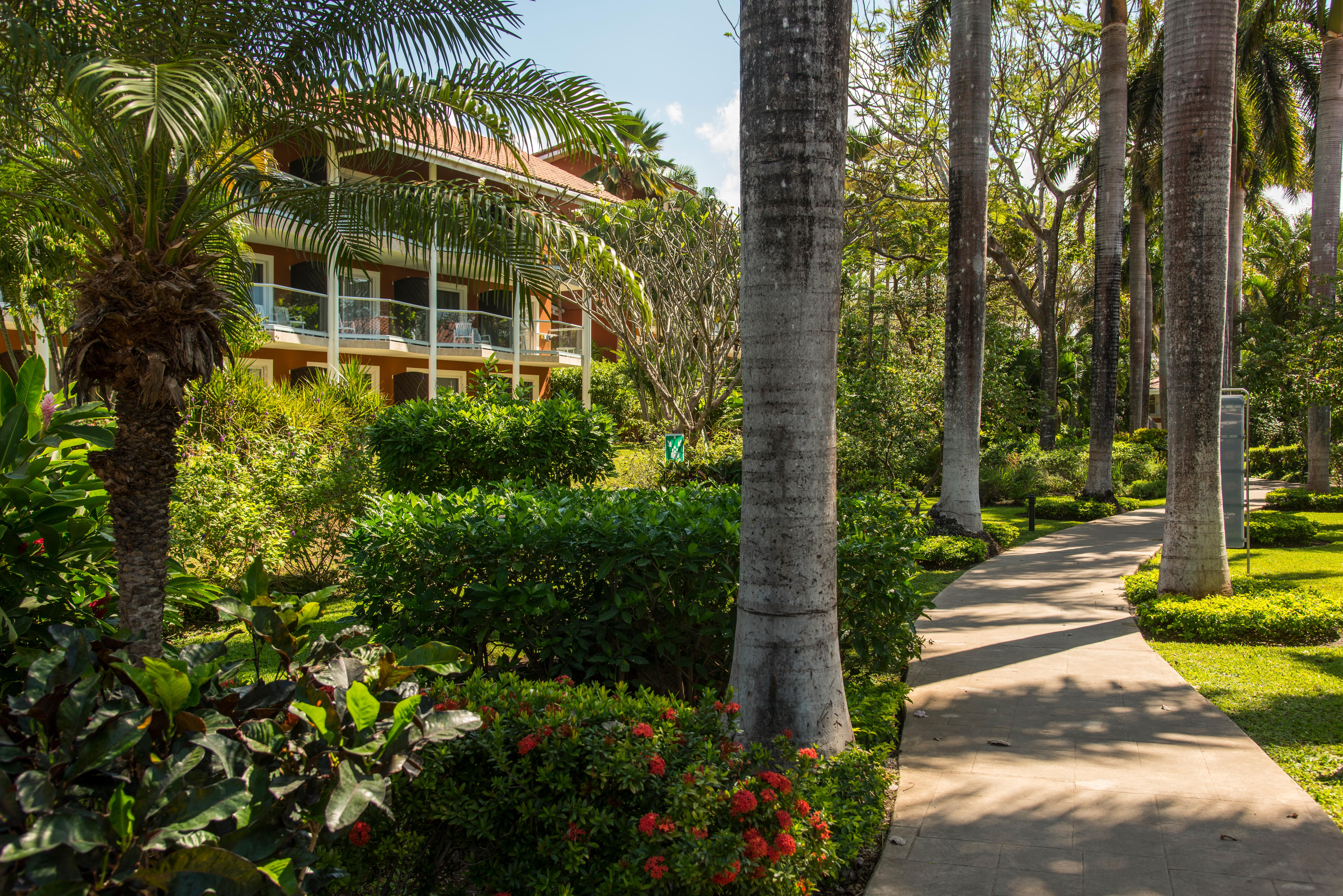 Occidental Tamarindo Hotel Exterior photo